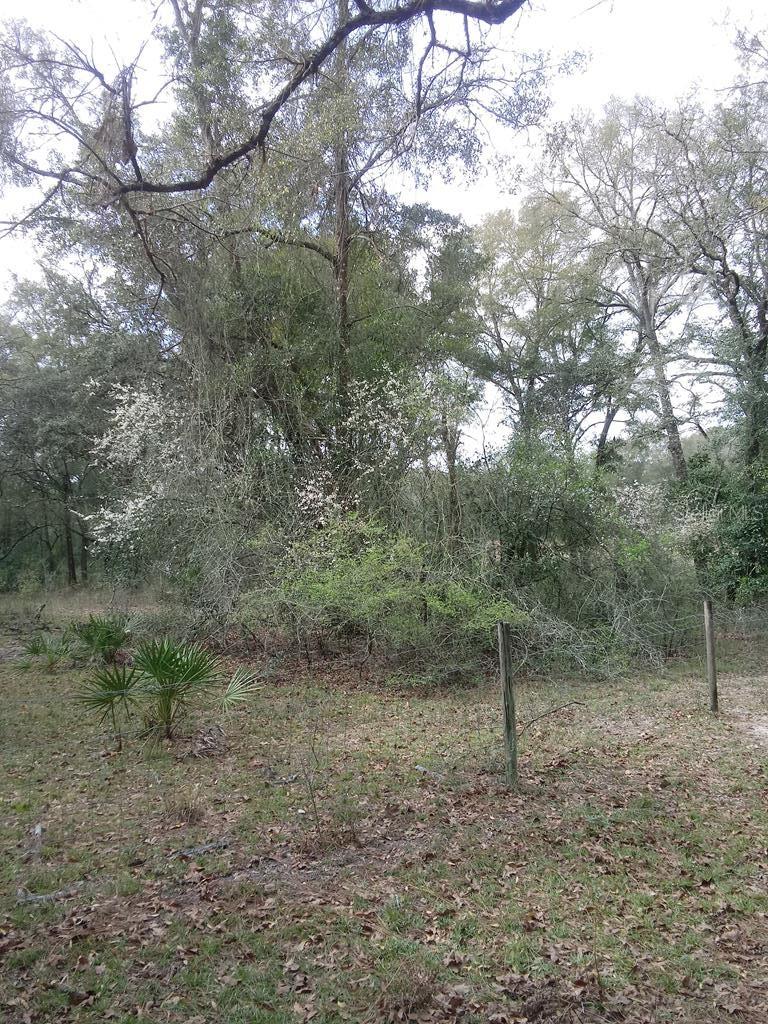 NOT IN SUBDIVISION - Residential