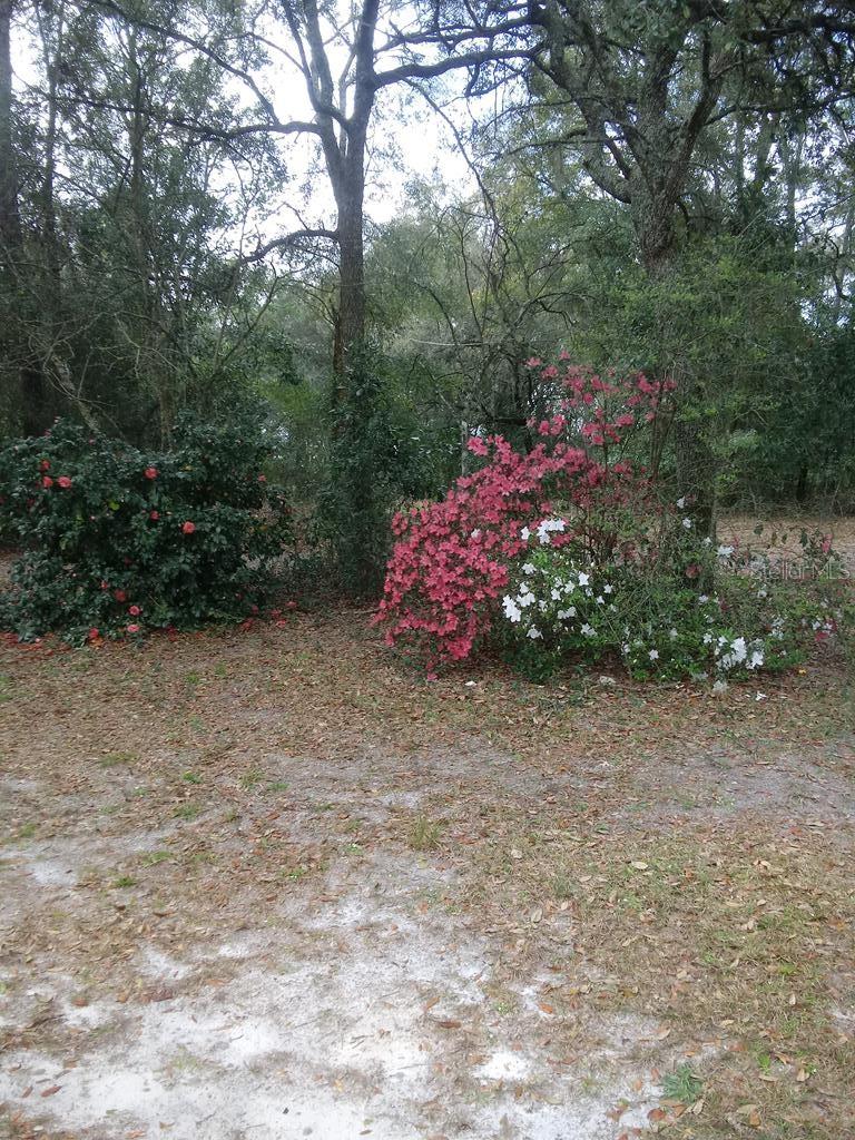 NOT IN SUBDIVISION - Residential