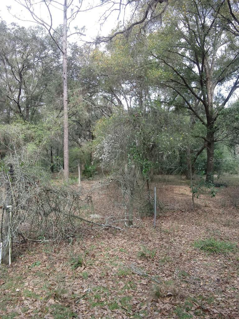 NOT IN SUBDIVISION - Residential