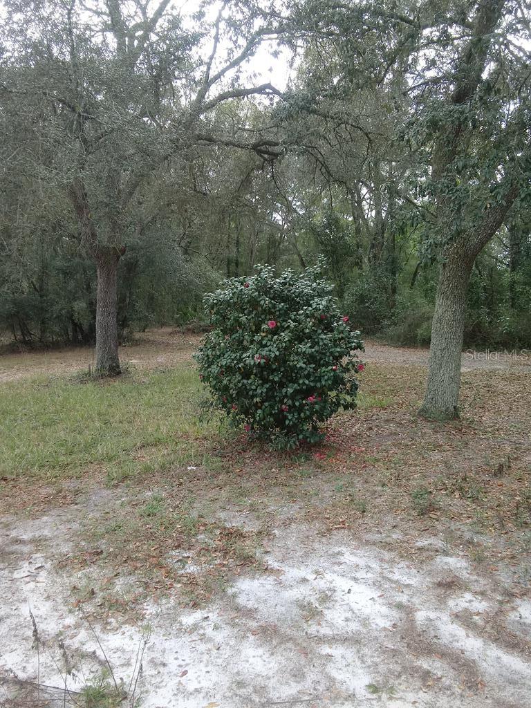 NOT IN SUBDIVISION - Residential