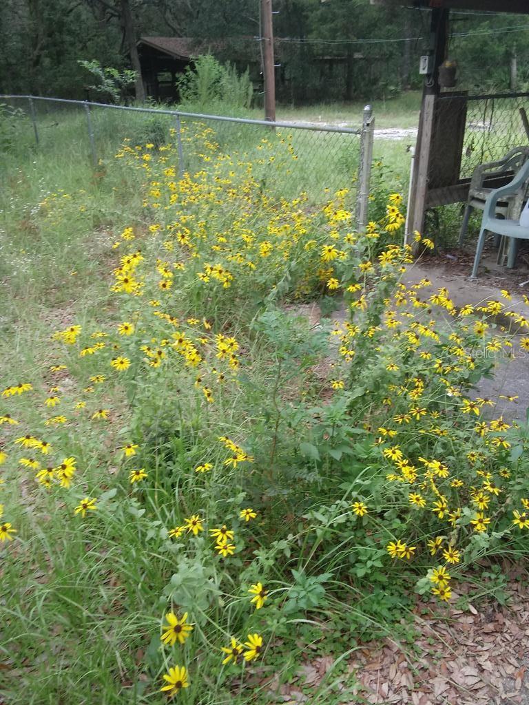 NOT IN SUBDIVISION - Residential