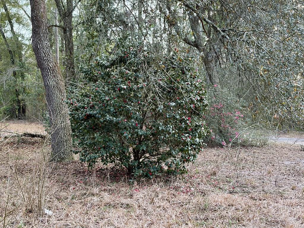 NOT IN SUBDIVISION - Residential