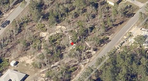 Photo of 00 Malauka Trail Drive, Ocklawaha, FL 32179 (MLS # OM727727)