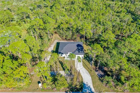 A home in NEW SMYRNA BEACH