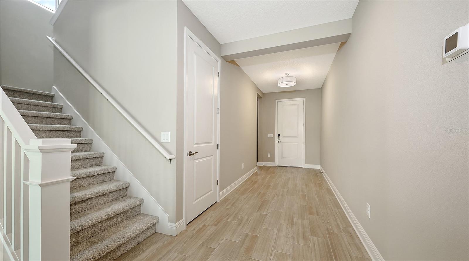 2254 LADY PALM LOOP