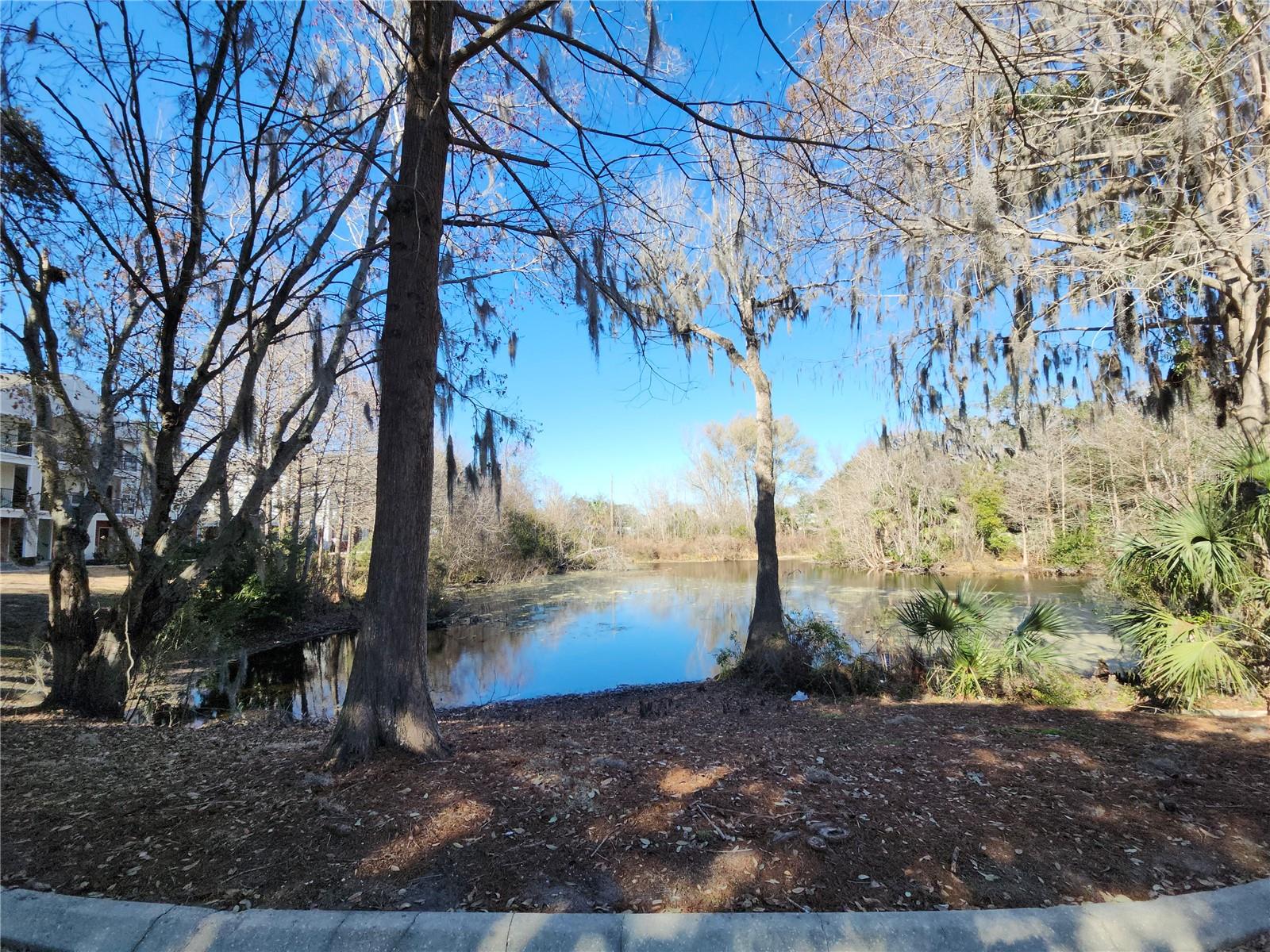 CAMPUS EDGE CONDO - Residential