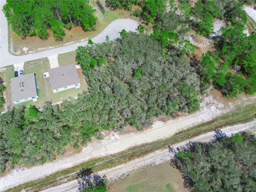 Build your dream home on this high and dry homesite at 1246 Wahneta Dr in Poinciana. This desirable lot offers no rear neighbors, providing added privacy and a peaceful setting. Located on a quiet street with convenient access to Lake Marion Creek Dr, schools, parks, shopping, and dining. The growing Poinciana area continues to see strong development, making this a great opportunity for homeowners, builders, or investors.