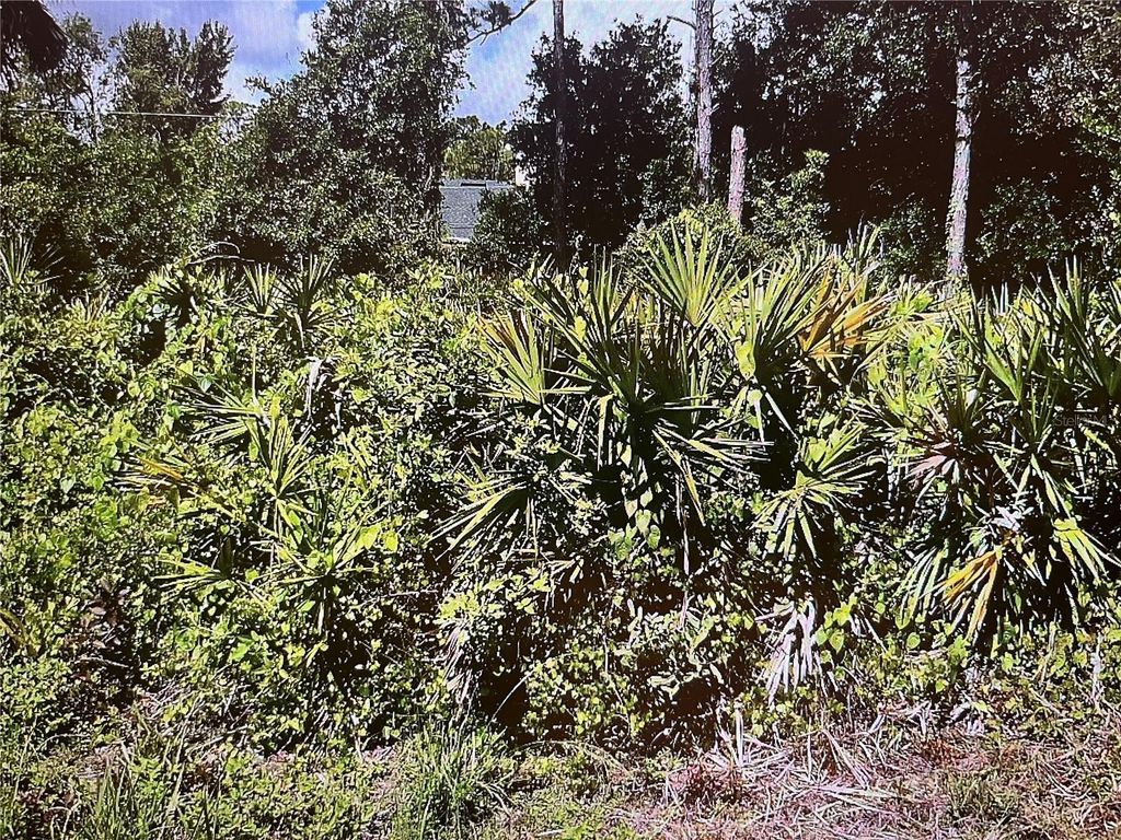 Photo of 14 Paola Street, North Port, FL 34287 (MLS # N6144885)