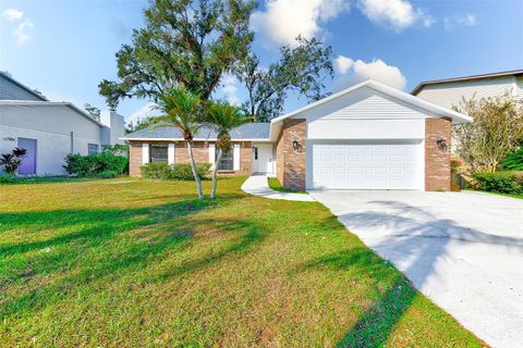 A home in BRANDON