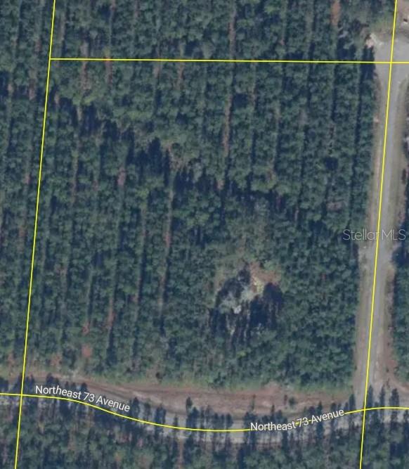 Photo of Tbd, Melrose, FL 32666 (MLS # TB8531160)
