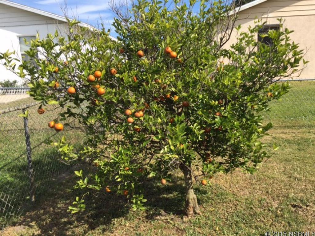 Shangri La Village - Residential