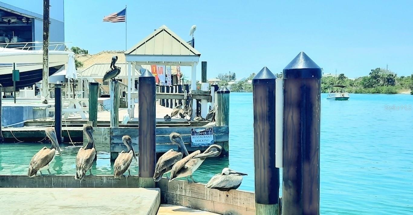 HATCHET CREEK MH PARK - Land