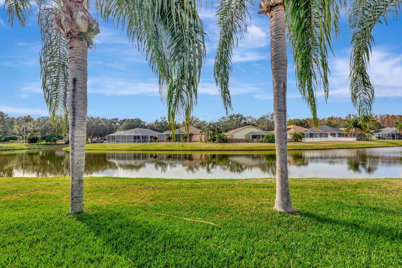 VILLAROSA K - Residential