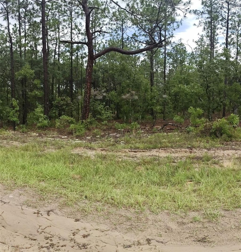 Photo of 00 SW 69 Place, Ocala, FL 34481 (MLS # OM727566)