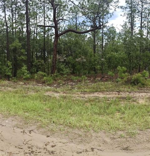 Photo of 00 SW 69 Place, Ocala, FL 34481 (MLS # OM727566)