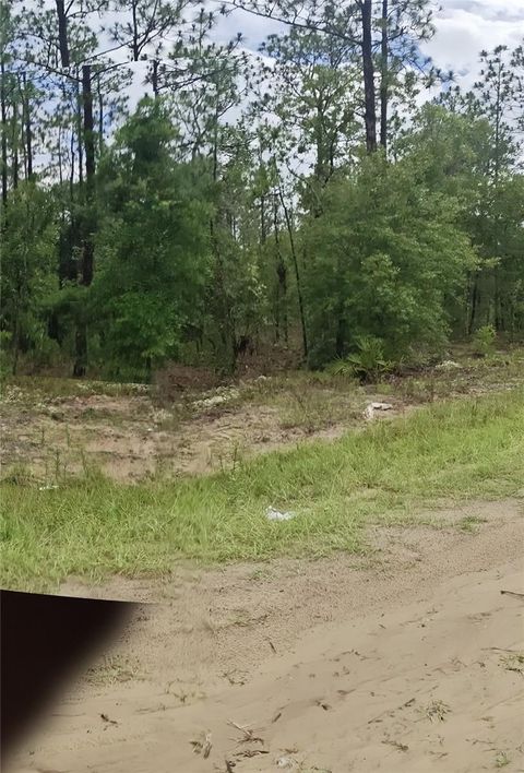Tiny photo for 00 SW 69 Place, Ocala, FL 34481 (MLS # OM727566)