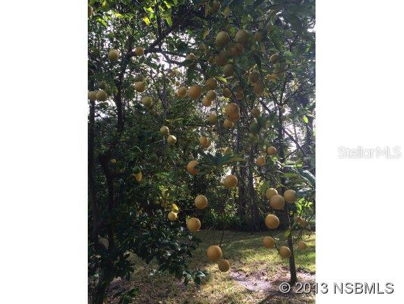 Sugar Mill Country Club & Estates Unit 02 - Residential