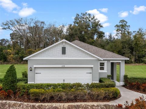 2315 ASHWOOD BLUFF DRIVE OCOEE FL 34761