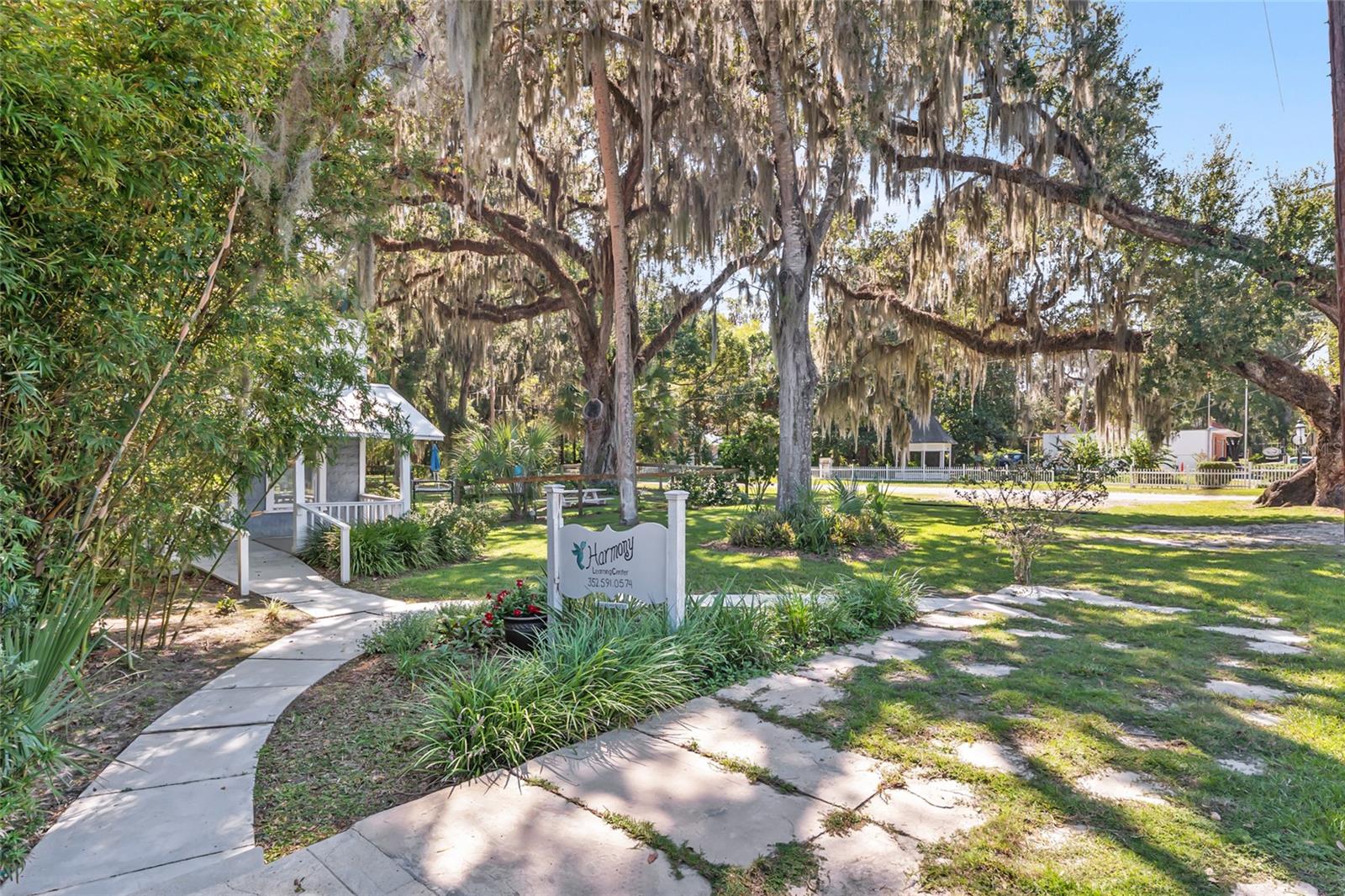 TOWN/MCINTOSH - Residential