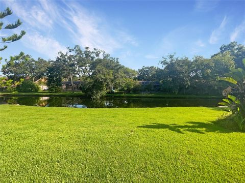 A home in TAMPA