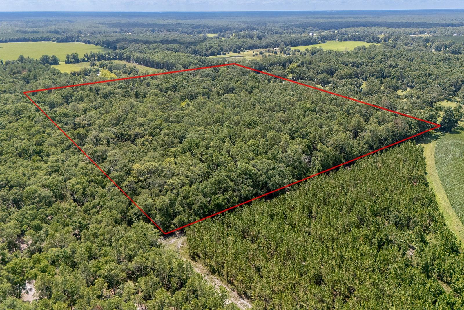8289 NE HIGHWAY 349