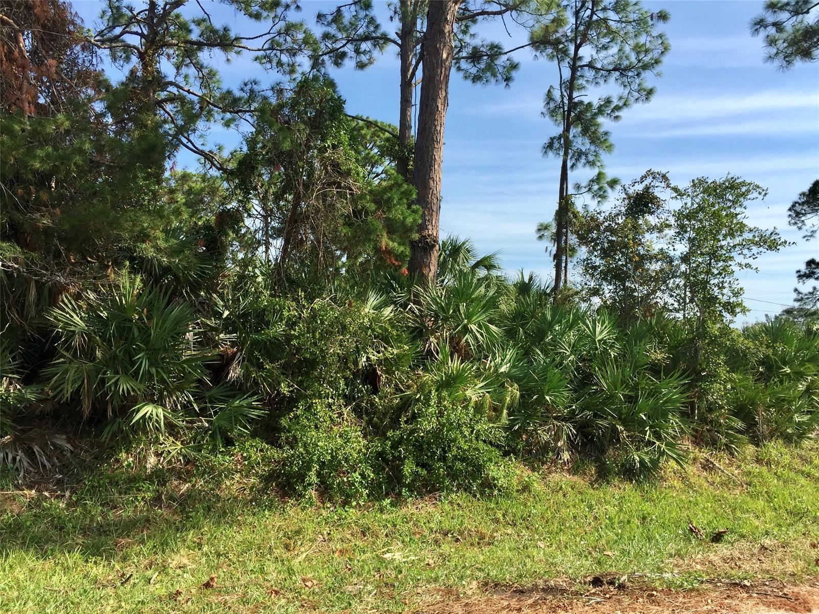 Florida Shores 01 - Land