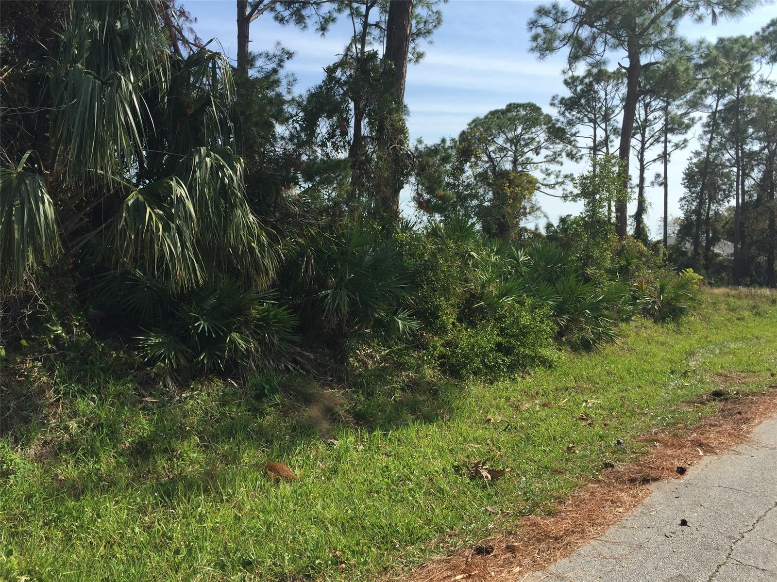 Florida Shores 01 - Land