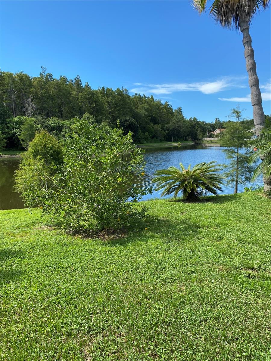 4307 COLD HARBOR DRIVE