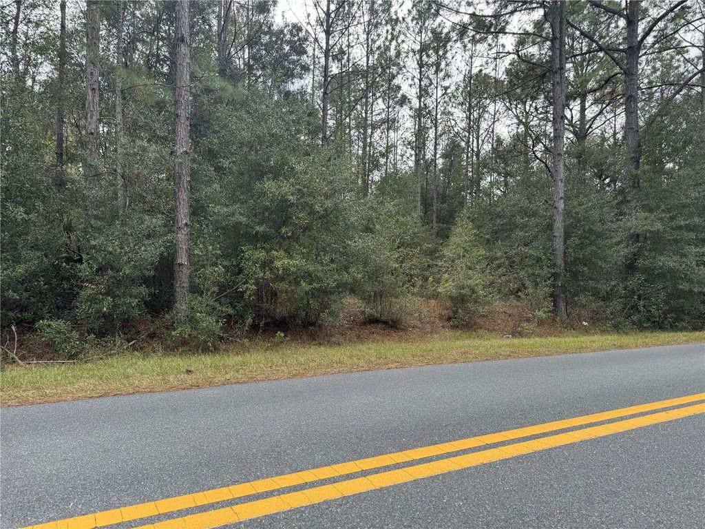 Photo of SW Beach Boulevard, Dunnellon, FL 34431 (MLS # OM715298)