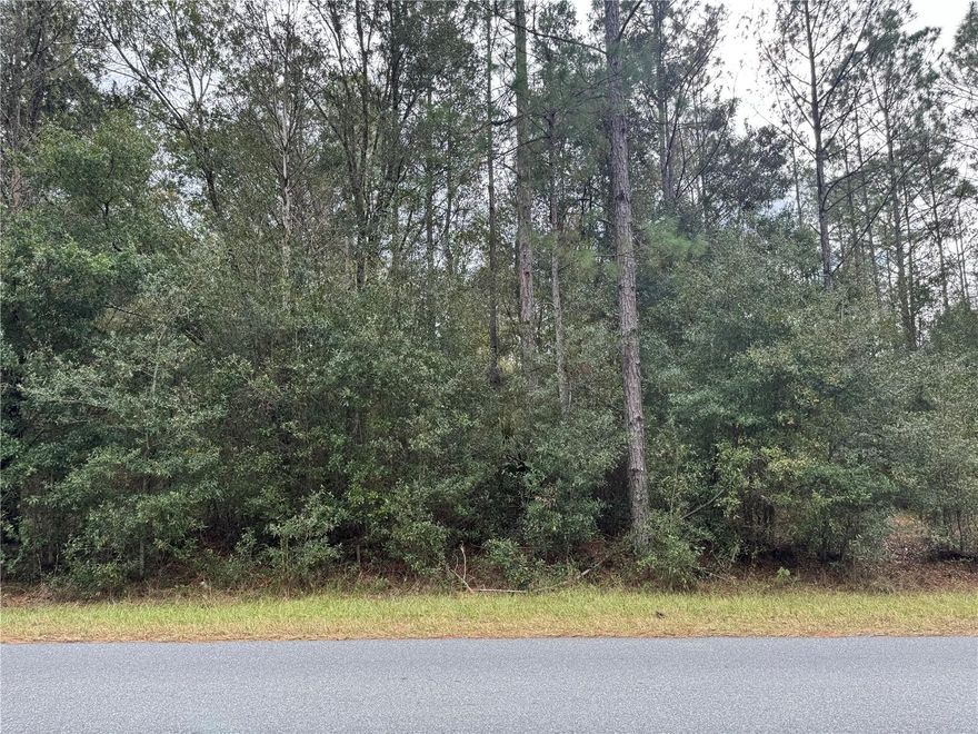 Build your Florida dream in Rainbow Lakes Estates! This high-and-dry vacant lot sits in a peaceful, wooded setting—perfect for privacy and quiet nights under the stars. Enjoy community amenities including a community center, parks, and nearby lakes, plus easy access to the beautiful Rainbow River. Conveniently located with a quick drive to shopping and dining, and just a short drive to the World Equestrian Center. Bring your vision and make it yours!