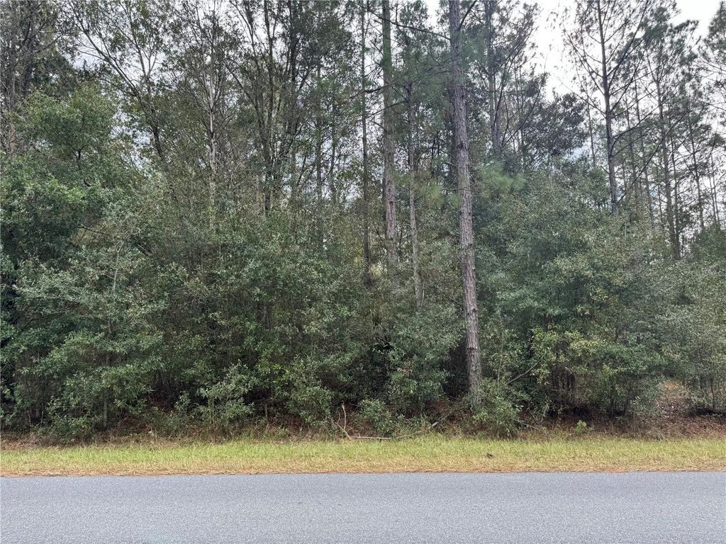 Photo of SW Beach Boulevard, Dunnellon, FL 34431 (MLS # OM715298)