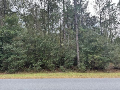 SW BEACH BOULEVARD DUNNELLON FL 34431