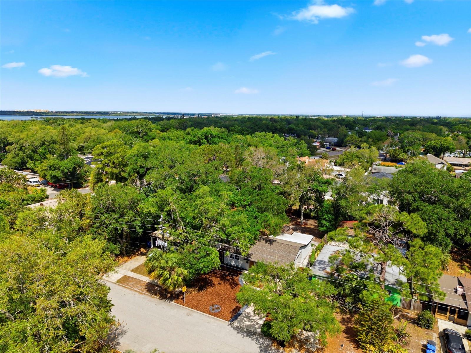 JUNGLE TERRACE SEC B - Residential