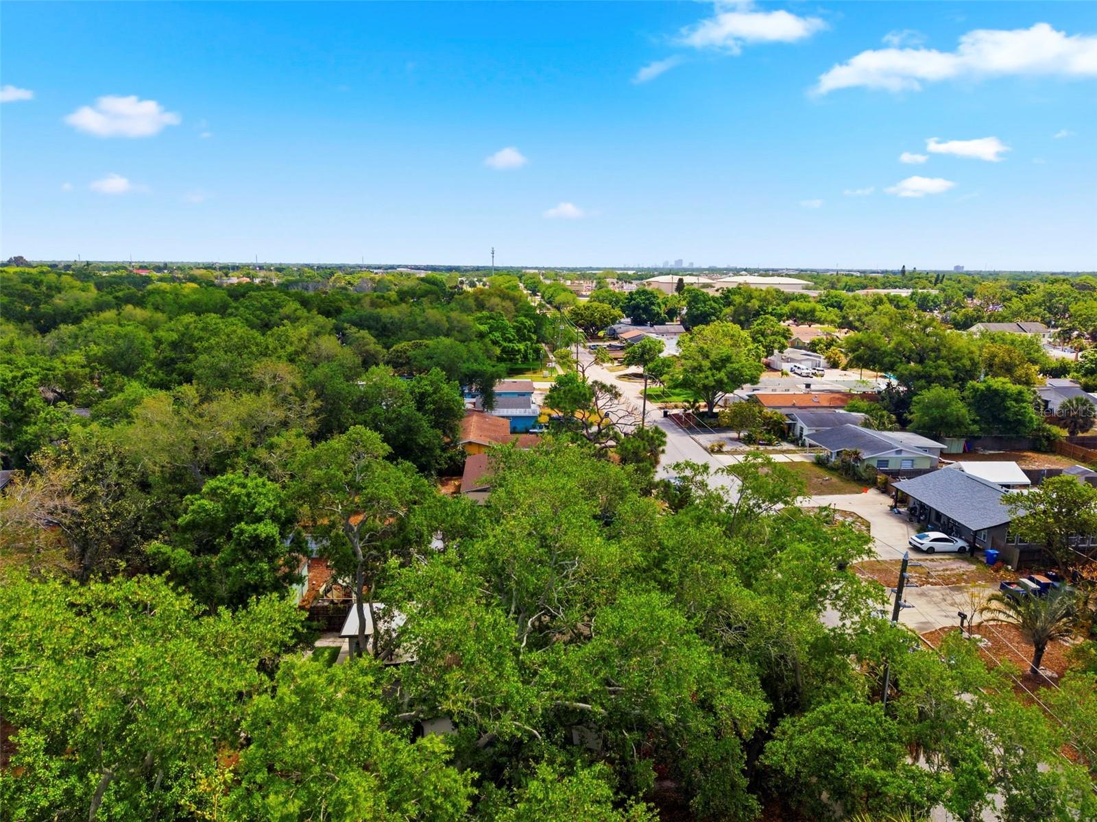 JUNGLE TERRACE SEC B - Residential