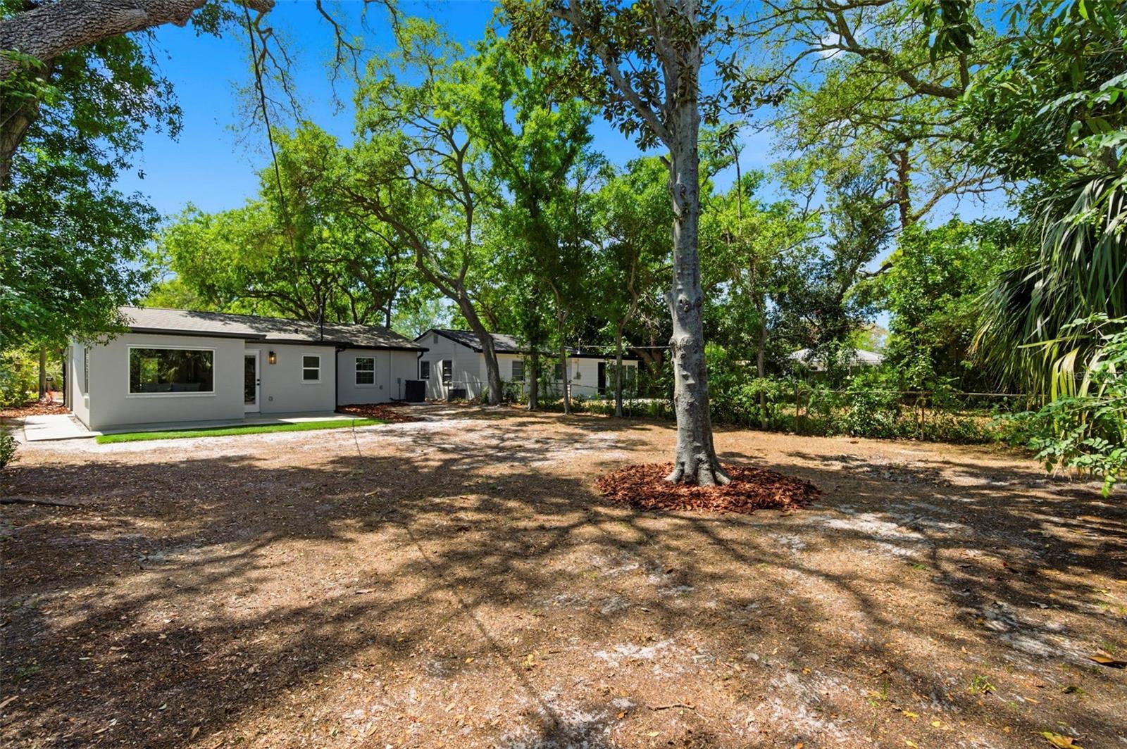 JUNGLE TERRACE SEC B - Residential