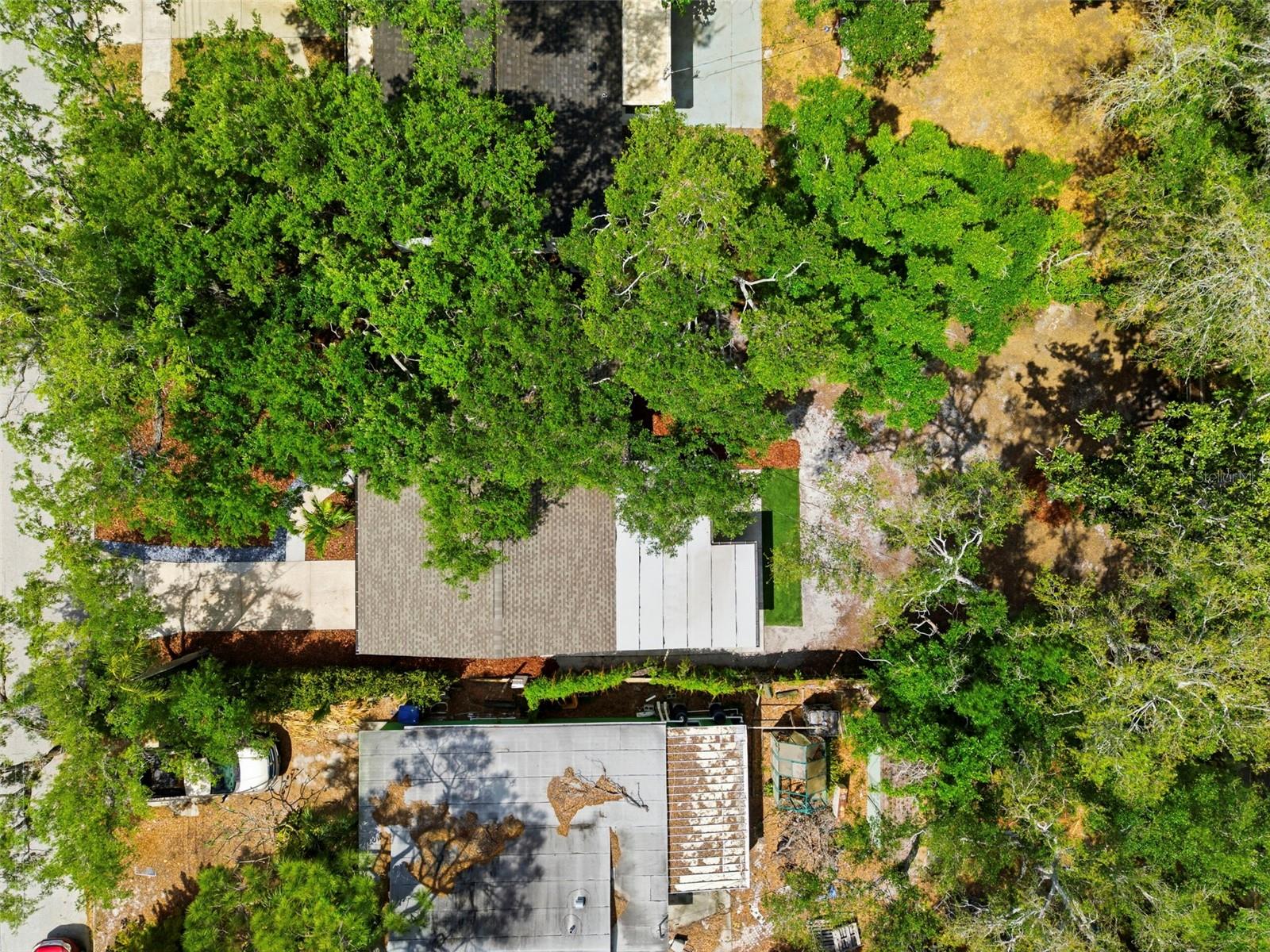 JUNGLE TERRACE SEC B - Residential