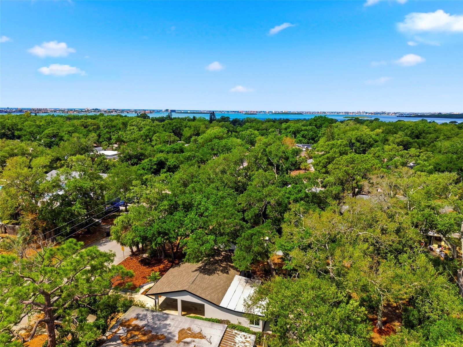 JUNGLE TERRACE SEC B - Residential