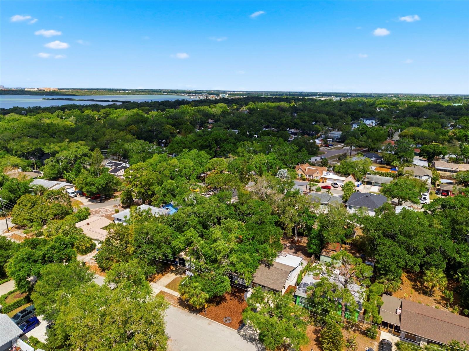 JUNGLE TERRACE SEC B - Residential