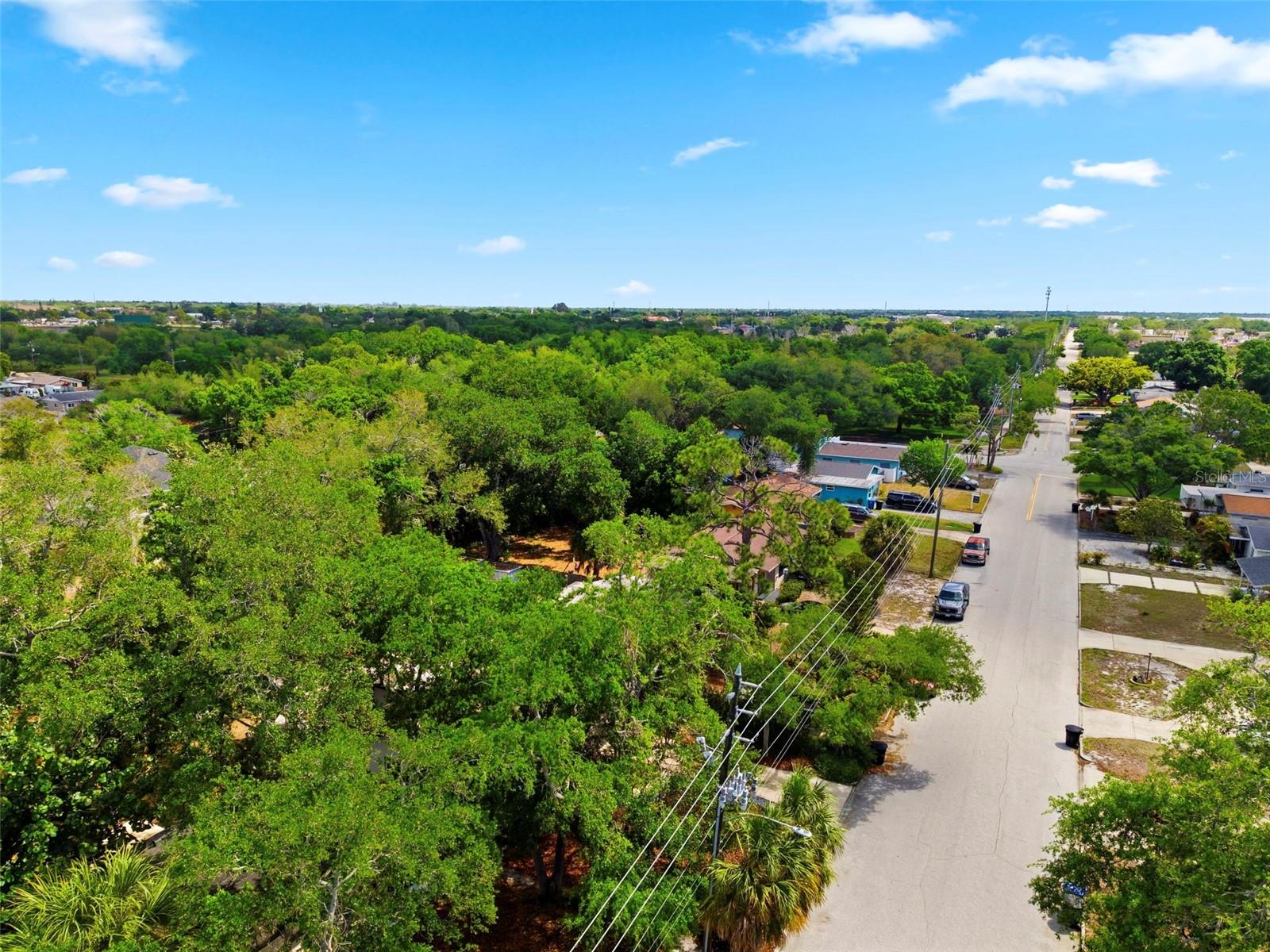 JUNGLE TERRACE SEC B - Residential