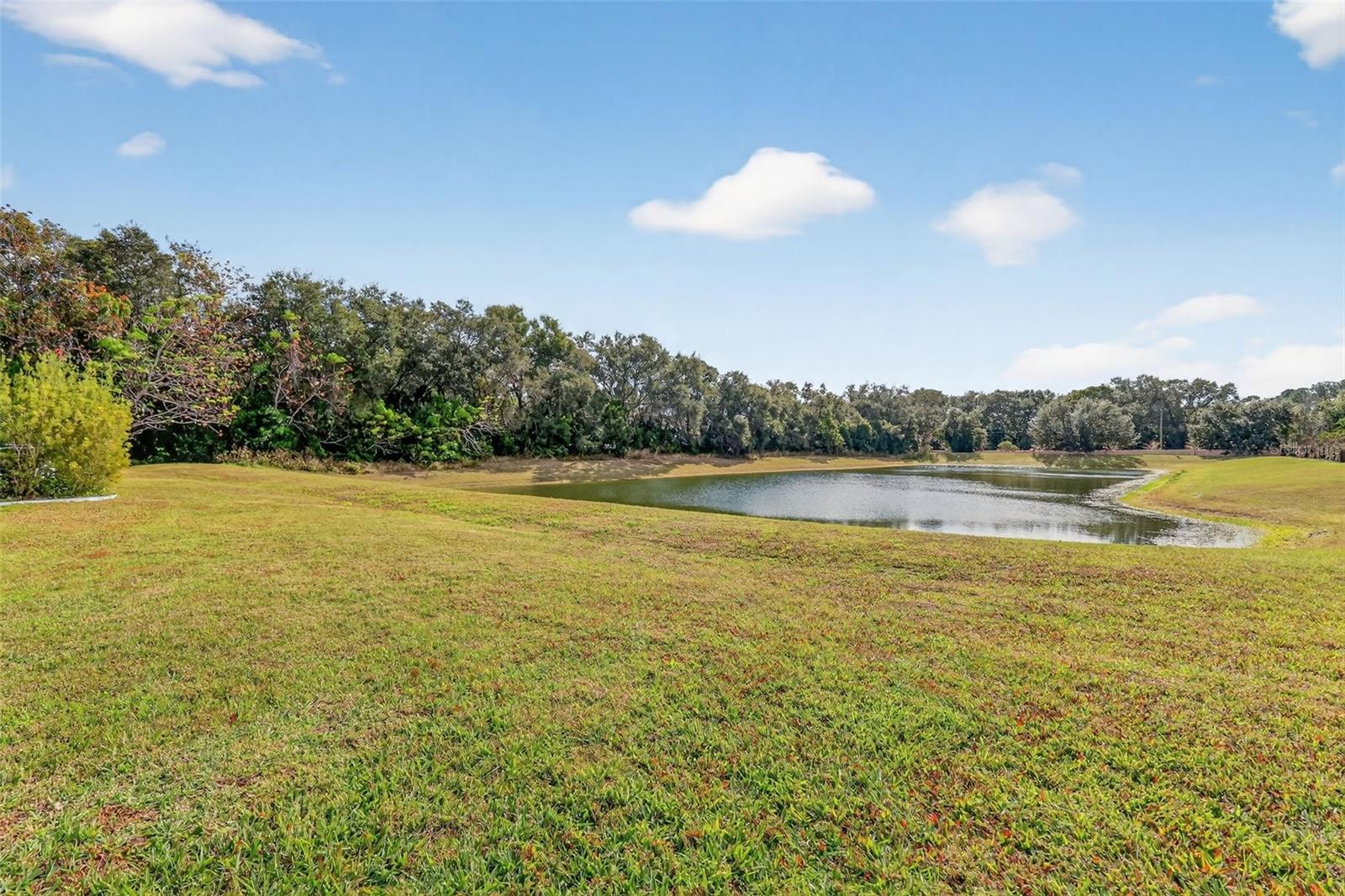 DORA ESTATES - Residential