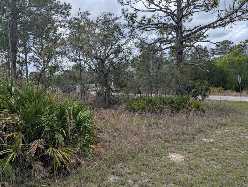 Photo of 0 Mazette Road, Weeki Wachee, FL 34613 (MLS # TB8485970)