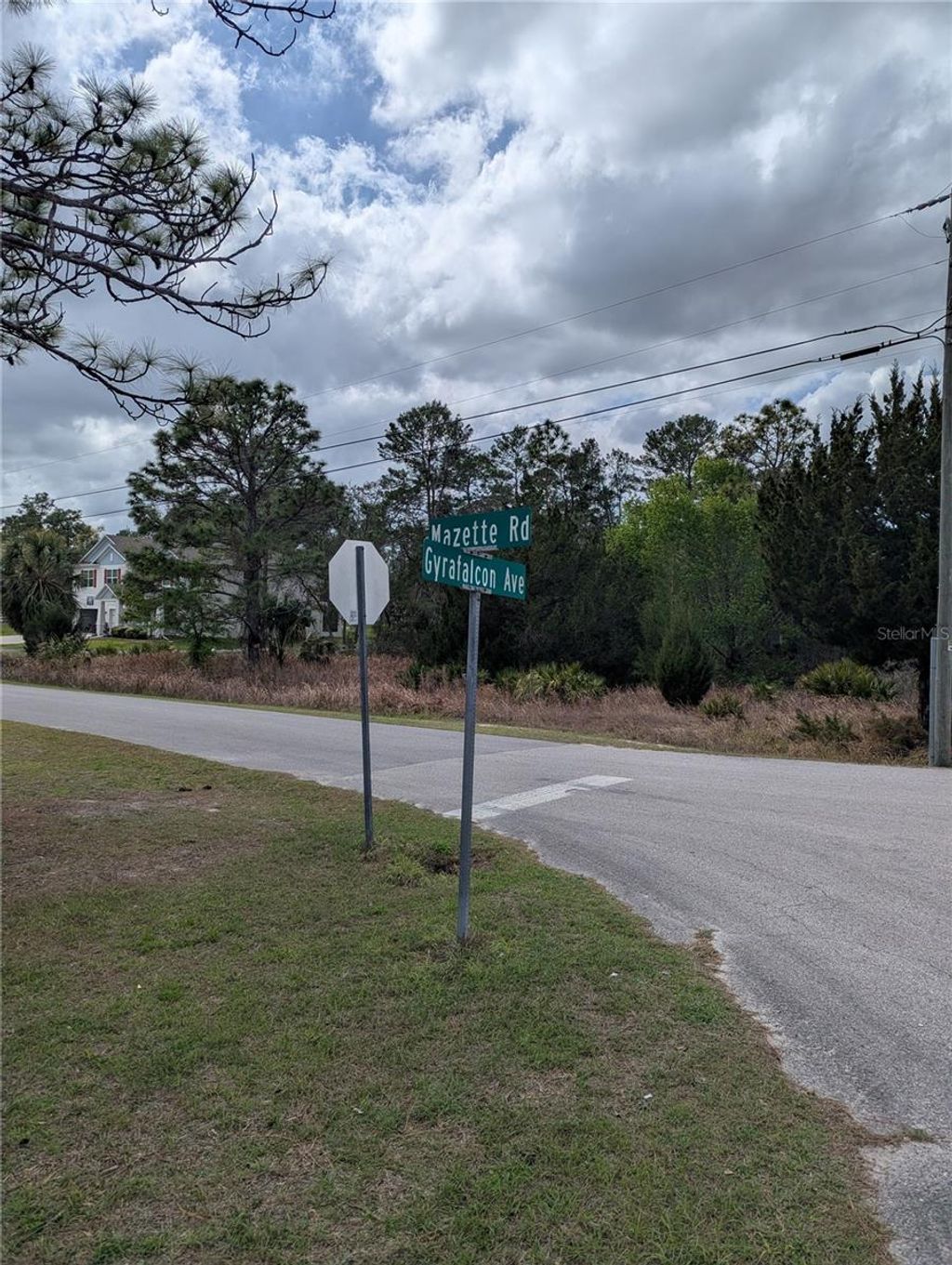 Photo of 0 Mazette Road, Weeki Wachee, FL 34613 (MLS # TB8485970)