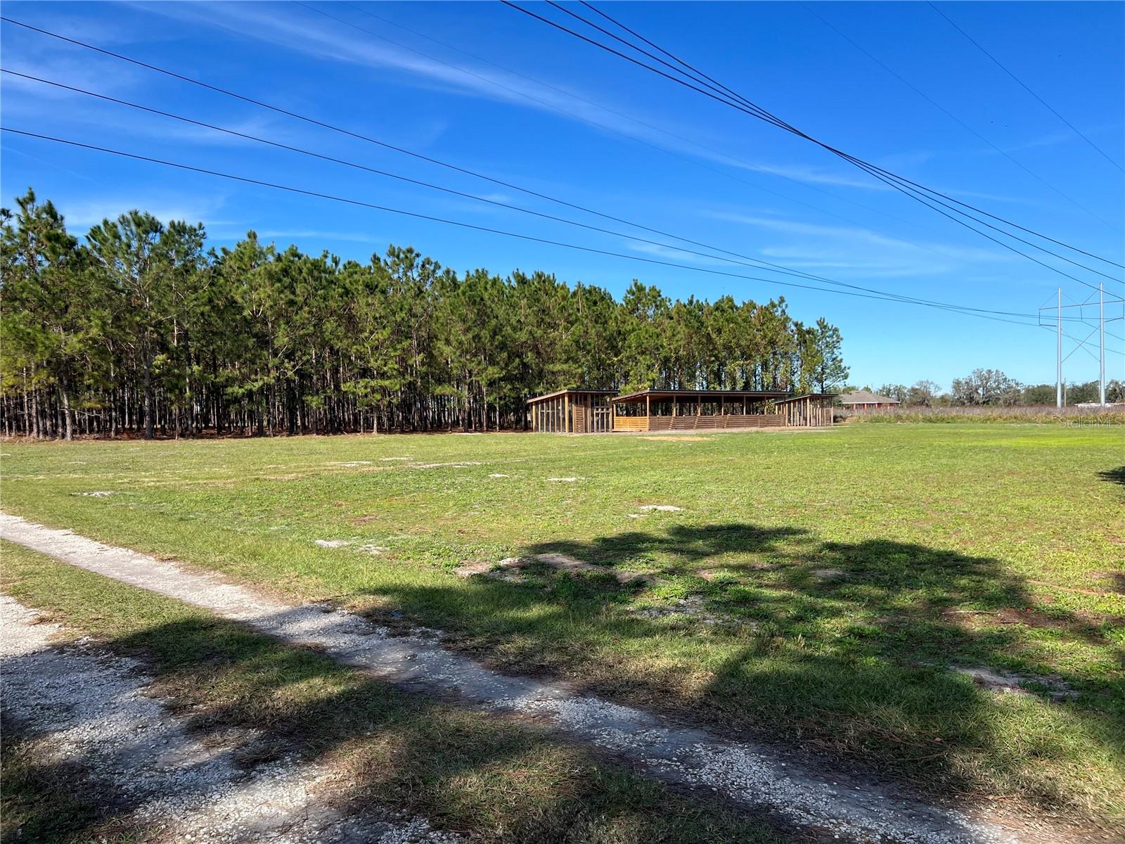 17609 BLEDSOE LOOP