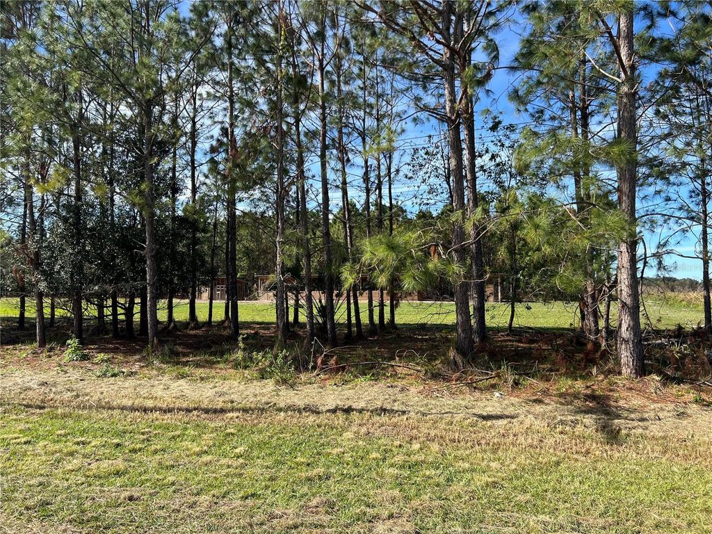 Photo of 17609 Bledsoe Loop, Lithia, FL 33547 (MLS # TB8337302)
