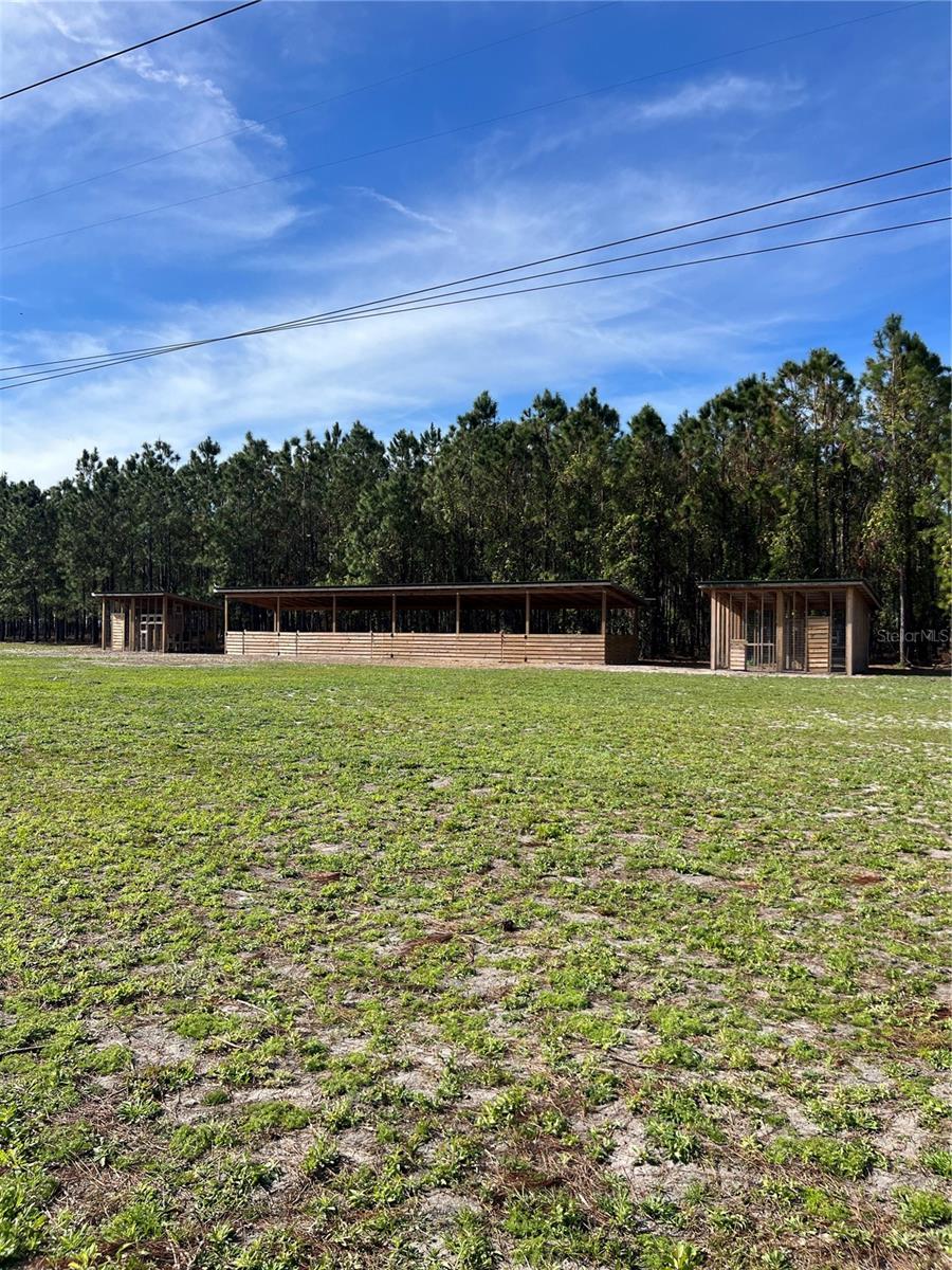 17609 BLEDSOE LOOP