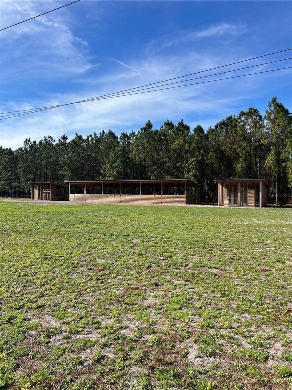 Photo of 17609 Bledsoe Loop, Lithia, FL 33547 (MLS # TB8337302)