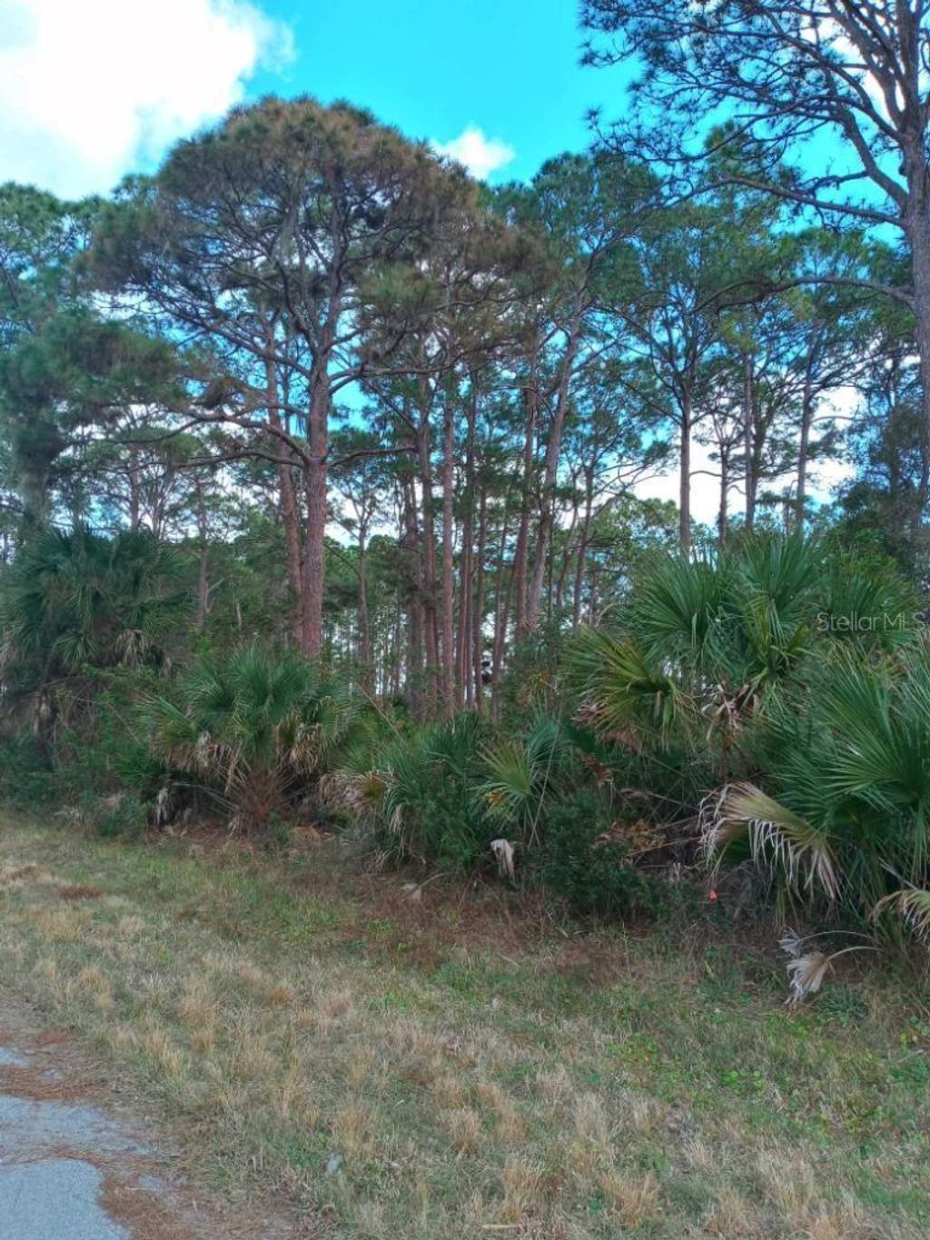 Photo of 12147 Kraft Avenue, Port Charlotte, FL 33953 (MLS # C7507520)