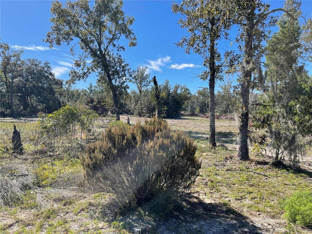 Photo of Tbd NE 99 Place, Archer, FL 32618 (MLS # OM711886)