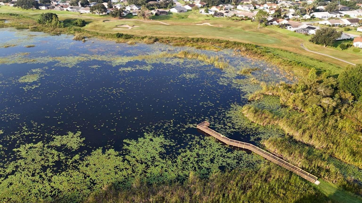 PLANTATION AT LEESBURG SAWGRASS VILLAGE - Residential