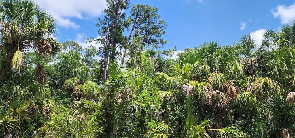 Photo of 436 Hutchins Street, Port Charlotte, FL 33953 (MLS # D6142624)
